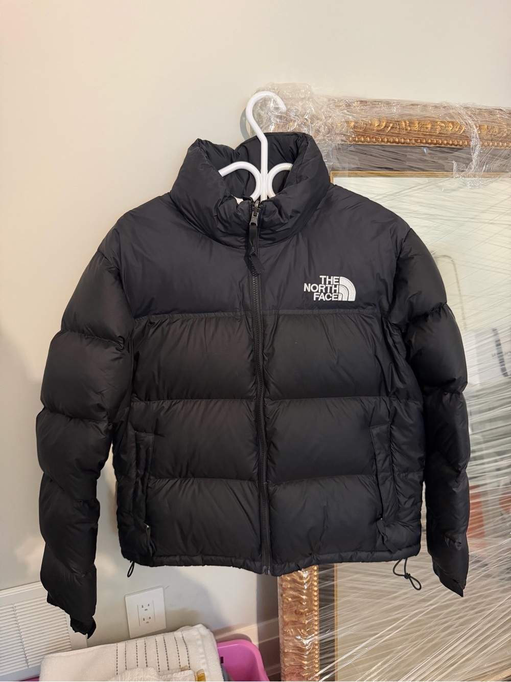 The North Face 1996 Retro Nuptse Jacket (Women’s)